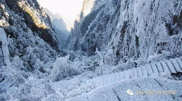 200年出1个的美神,是怎么从出身豪门混到四处流浪的